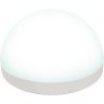 Лампа светодиодная UNIEL LED-GX53-10W/4000K/GX53/FR/SPHERE PLZ02WH со сферическим рассеивателем UL-00011788 Лампа светодиодная UNIEL LED-GX53-10W/4000K/GX53/FR/SPHERE PLZ02WH со сферическим рассеивателем UL-00011788